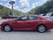 2024 Toyota Camry LE AUTO